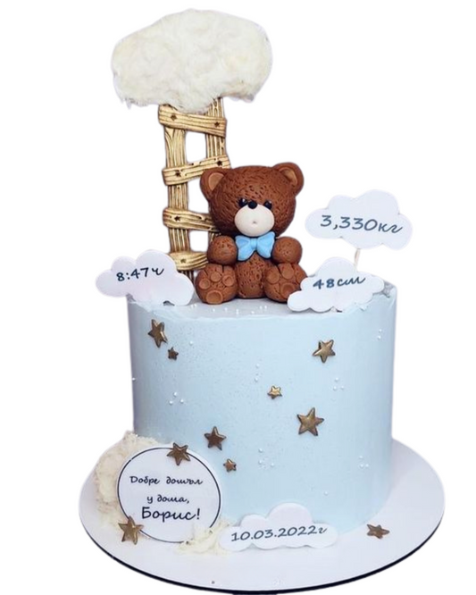 Baby Shower Cake 13