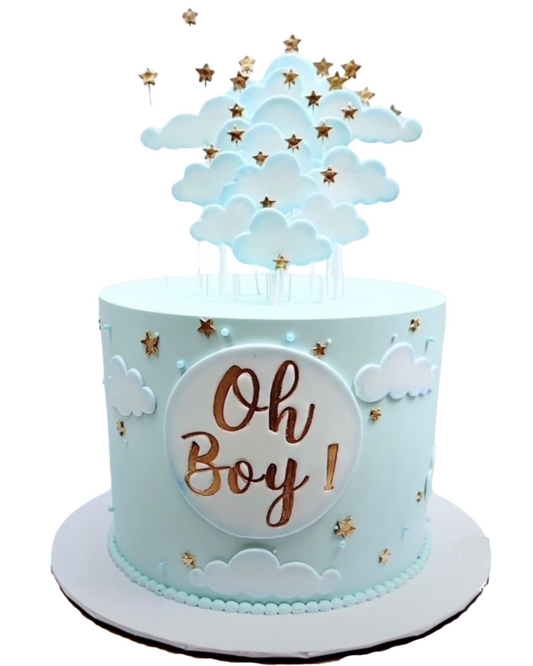 Baby Shower Cake 14